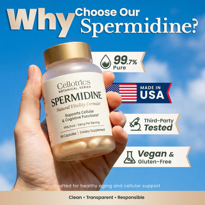 Spermidine Supplements - 1260mg | Ultra-Pure 99% Spermidine