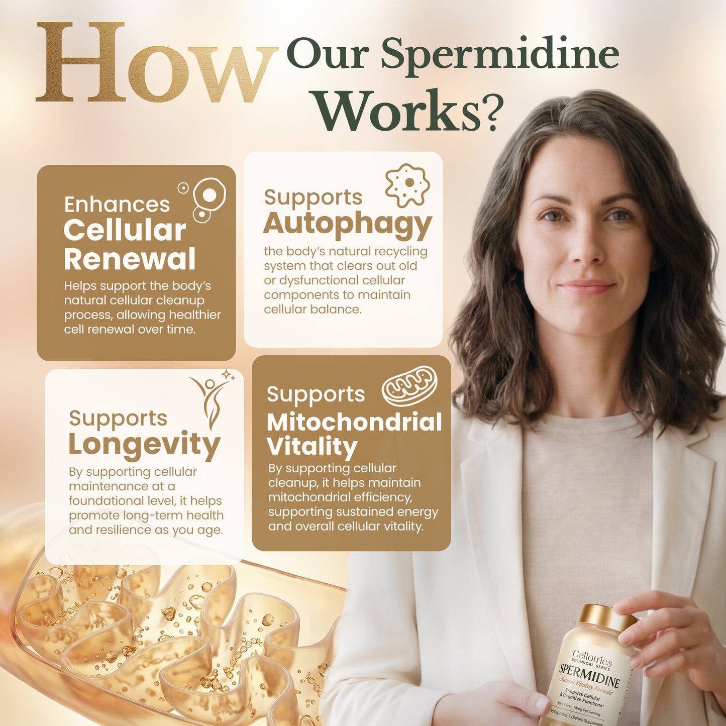 Spermidine Supplements - 1260mg | Ultra-Pure 99% Spermidine