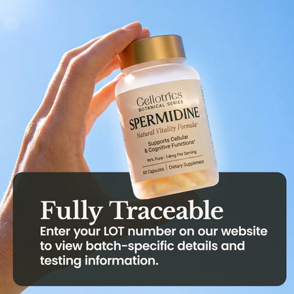 Spermidine Supplements - 1260mg | Ultra-Pure 99% Spermidine