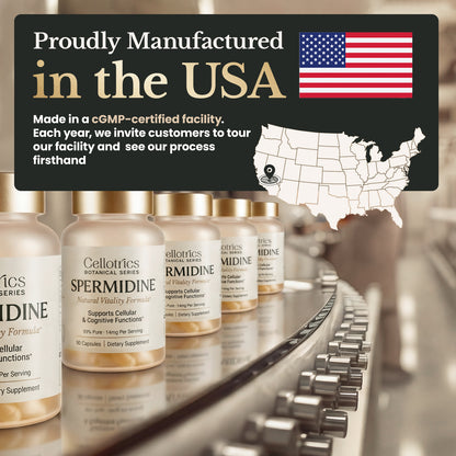 Spermidine Supplements - 1260mg | Ultra-Pure 99% Spermidine