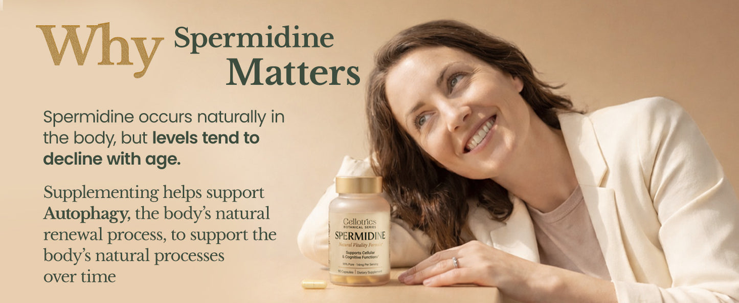 Spermidine Supplements - 1260mg | Ultra-Pure 99% Spermidine