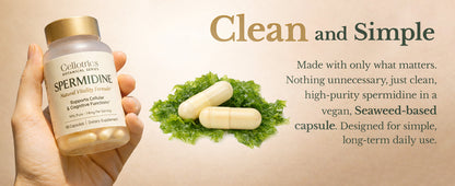 Spermidine Supplements - 1260mg | Ultra-Pure 99% Spermidine